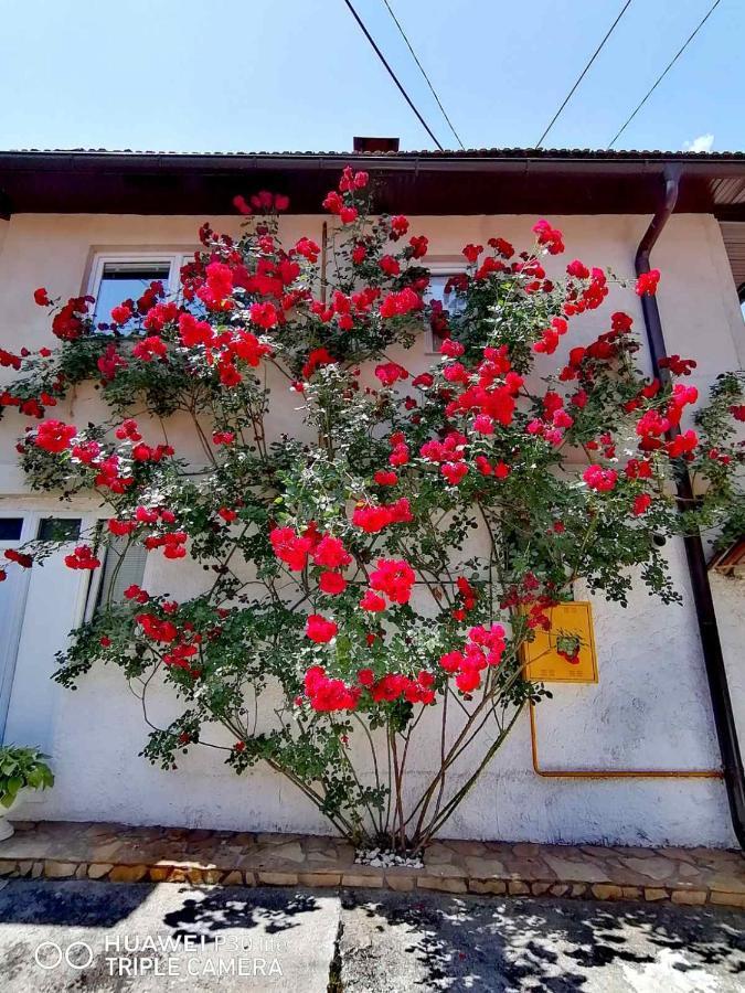 Modern&Cozy Bosnian House With Garden+Free Parking Hotell Sarajevo Eksteriør bilde