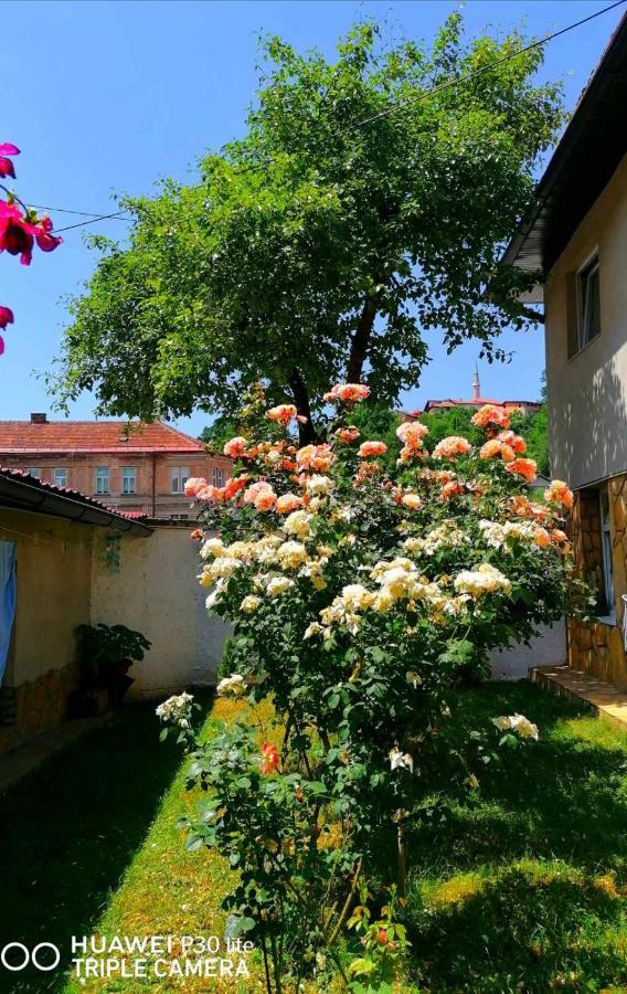 Modern&Cozy Bosnian House With Garden+Free Parking Hotell Sarajevo Eksteriør bilde