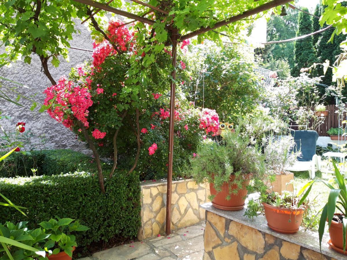 Modern&Cozy Bosnian House With Garden+Free Parking Hotell Sarajevo Eksteriør bilde