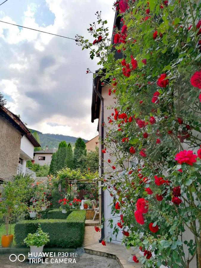 Modern&Cozy Bosnian House With Garden+Free Parking Hotell Sarajevo Eksteriør bilde