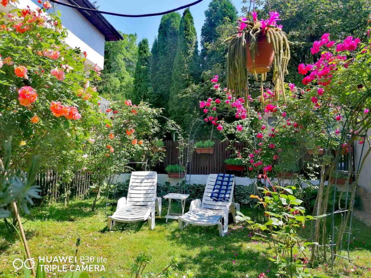 Modern&Cozy Bosnian House With Garden+Free Parking Hotell Sarajevo Eksteriør bilde
