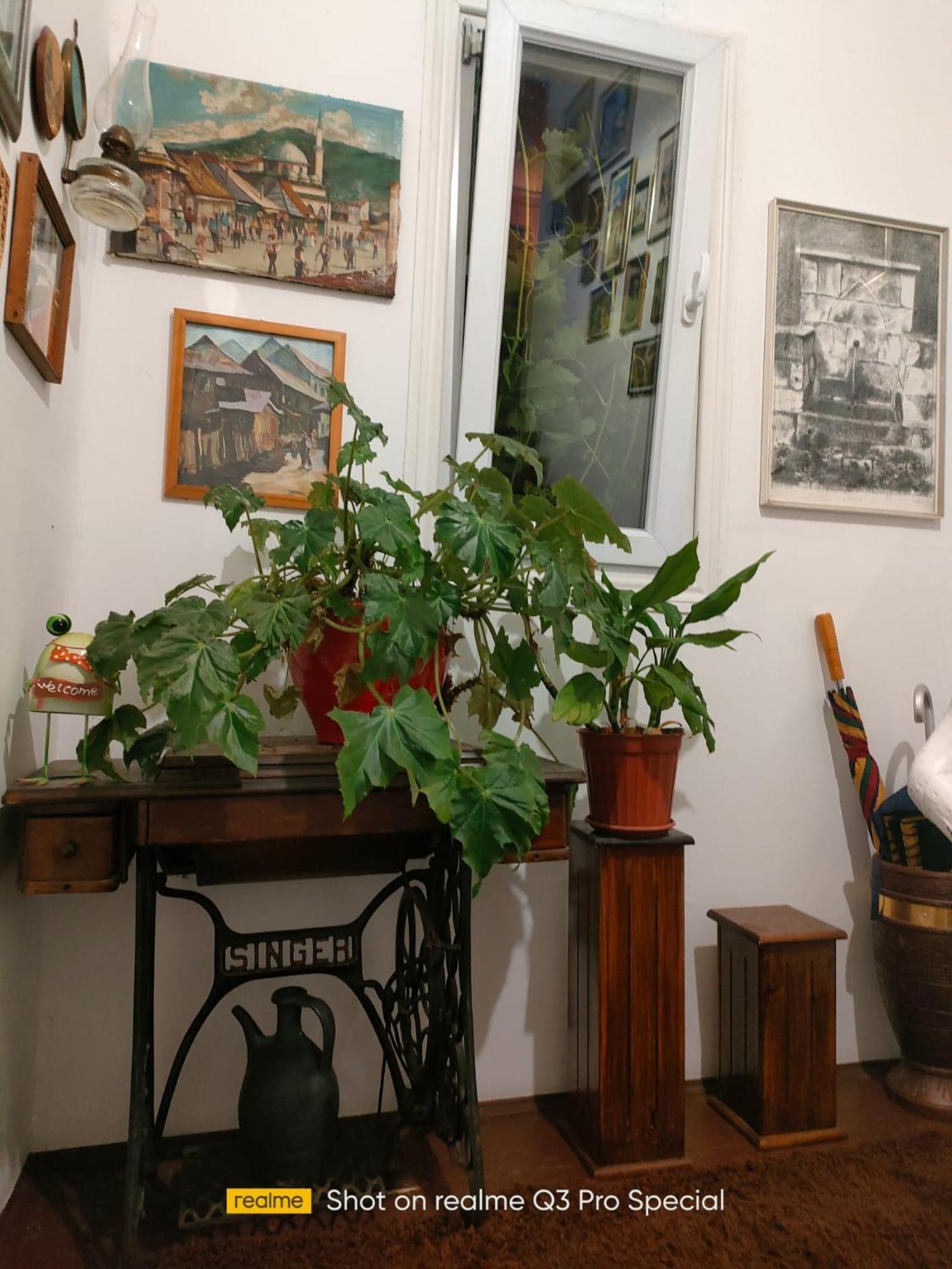 Modern&Cozy Bosnian House With Garden+Free Parking Hotell Sarajevo Eksteriør bilde