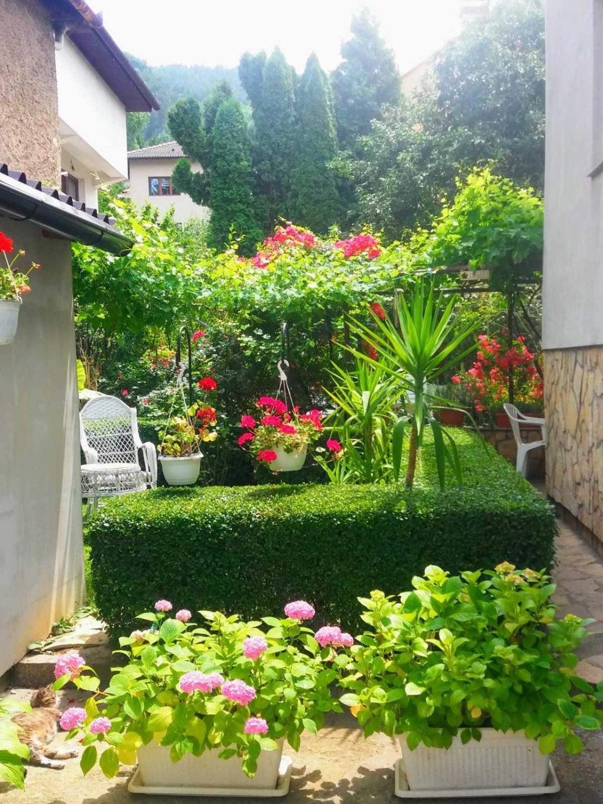 Modern&Cozy Bosnian House With Garden+Free Parking Hotell Sarajevo Rom bilde