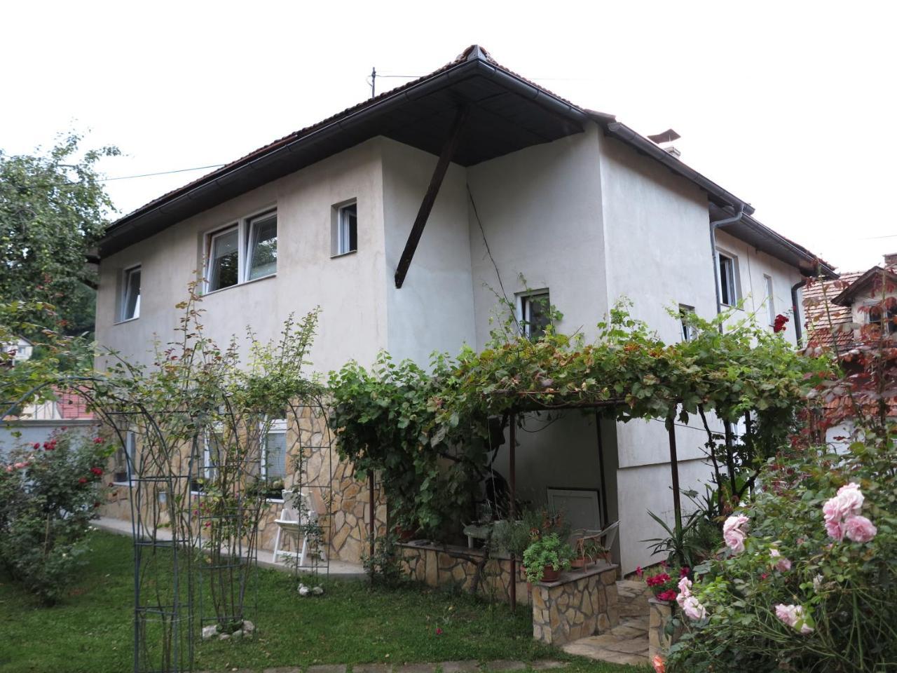 Modern&Cozy Bosnian House With Garden+Free Parking Hotell Sarajevo Eksteriør bilde