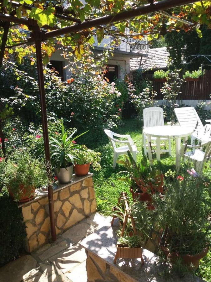 Modern&Cozy Bosnian House With Garden+Free Parking Hotell Sarajevo Eksteriør bilde